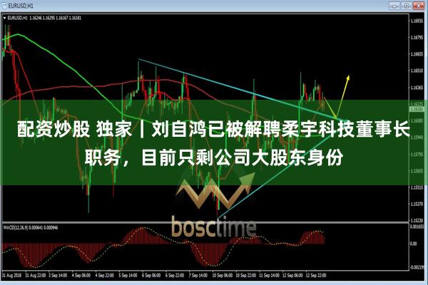 配资炒股 独家｜刘自鸿已被解聘柔宇科技董事长职务，目前只剩公司大股东身份