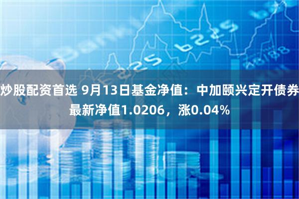 炒股配资首选 9月13日基金净值：中加颐兴定开债券最新净值1.0206，涨0.04%