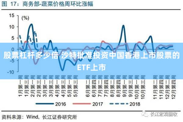 股票杠杆多少倍 沙特批准投资中国香港上市股票的ETF上市