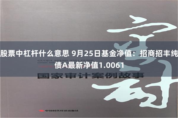 股票中杠杆什么意思 9月25日基金净值：招商招丰纯债A最新净值1.0061