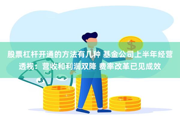 股票杠杆开通的方法有几种 基金公司上半年经营透视：营收和利润双降 费率改革已见成效