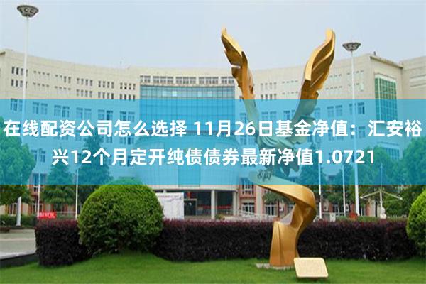 在线配资公司怎么选择 11月26日基金净值：汇安裕兴12个月定开纯债债券最新净值1.0721