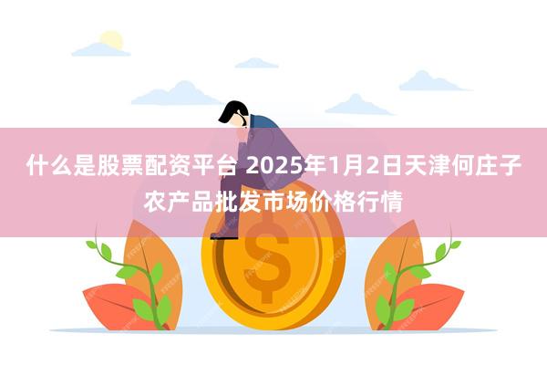 什么是股票配资平台 2025年1月2日天津何庄子农产品批发市场价格行情