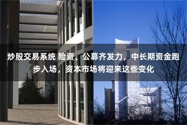 炒股交易系统 险资、公募齐发力，中长期资金跑步入场，资本市场将迎来这些变化