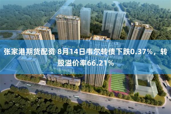 张家港期货配资 8月14日韦尔转债下跌0.37%，转股溢价率66.21%