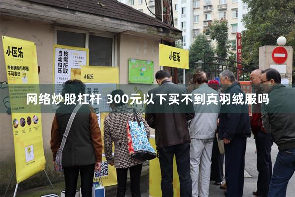 网络炒股杠杆 300元以下买不到真羽绒服吗