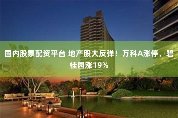 国内股票配资平台 地产股大反弹！万科A涨停，碧桂园涨19%