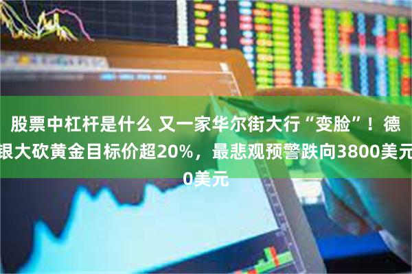 股票中杠杆是什么 又一家华尔街大行“变脸”！德银大砍黄金目标价超20%，最悲观预警跌向3800美元