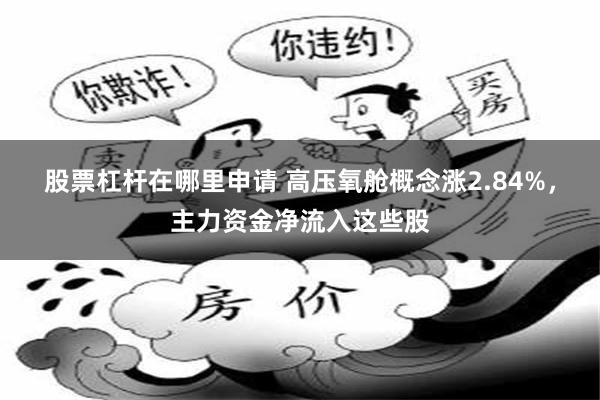 股票杠杆在哪里申请 高压氧舱概念涨2.84%，主力资金净流入这些股