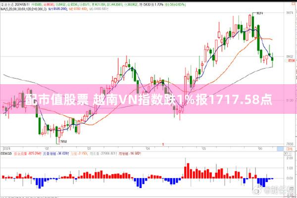 配市值股票 越南VN指数跌1%报1717.58点